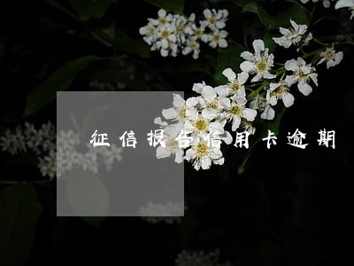 征信报告信用卡逾期 政审 征信报告信用卡逾期 政审